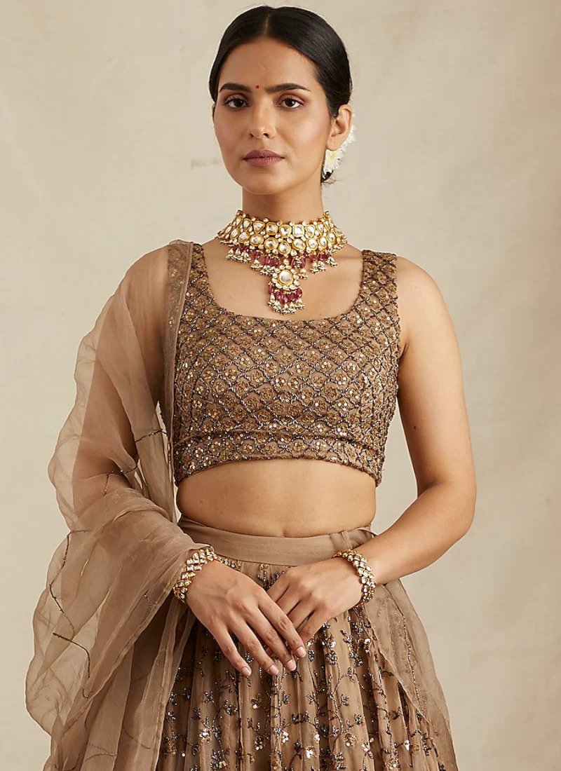 PrettySoftNetSequenceZariEmbroideryWorkBrownLehenga_2