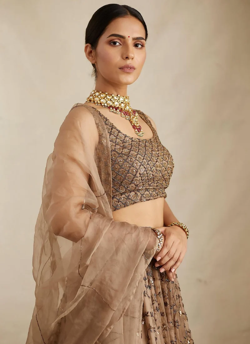 PrettySoftNetSequenceZariEmbroideryWorkBrownLehenga_5
